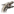 Drachengarde